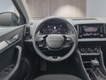 Daumennagel 12 - Skoda Karoq 1,5TSI DSG 18*Alu/aAHK/ACC/Kamera/Winterp.       **