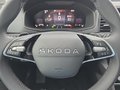 Daumennagel 20 - Skoda Karoq 1,5TSI DSG 18*Alu/aAHK/ACC/Kamera/Winterp.       **