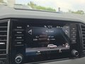 Daumennagel 34 - Skoda Karoq 1,5TSI DSG 18*Alu/aAHK/ACC/Kamera/Winterp.       **