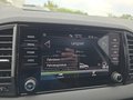 Daumennagel 35 - Skoda Karoq 1,5TSI DSG 18*Alu/aAHK/ACC/Kamera/Winterp.       **