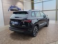 Daumennagel 5 - Skoda Karoq 1,5TSI DSG 18*Alu/aAHK/ACC/Kamera/Winterp.       **