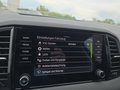 Daumennagel 38 - Skoda Karoq 1,5TSI DSG 18*Alu/aAHK/ACC/Kamera/Winterp.       **