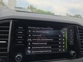 Daumennagel 42 - Skoda Karoq 1,5TSI DSG 18*Alu/aAHK/ACC/Kamera/Winterp.       **