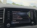 Daumennagel 45 - Skoda Karoq 1,5TSI DSG 18*Alu/aAHK/ACC/Kamera/Winterp.       **