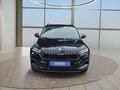 Daumennagel 8 - Skoda Karoq 1,5TSI DSG 18*Alu/aAHK/ACC/Kamera/Winterp.       **