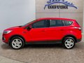 Daumennagel 2 - Ford Kuga 1.5 EcoBoost Trend AHK/Klima
