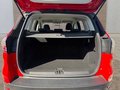 Daumennagel 16 - Ford Kuga 1.5 EcoBoost Trend AHK/Klima