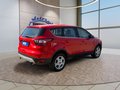 Daumennagel 5 - Ford Kuga 1.5 EcoBoost Trend AHK/Klima