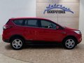 Daumennagel 6 - Ford Kuga 1.5 EcoBoost Trend AHK/Klima
