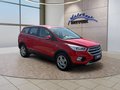 Daumennagel 7 - Ford Kuga 1.5 EcoBoost Trend AHK/Klima