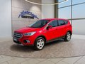 Daumennagel 1 - Ford Kuga 1.5 EcoBoost Trend AHK/Klima