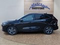 Daumennagel 2 - Ford Kuga ST-Line 1,5 186PS Aut.5*J.Gar/Navi/Kamera/Winterp.  **