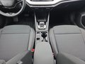 Daumennagel 11 - Skoda Octavia 1,5TSI DSG aAHK/Matrix/ACC/Kamera/el.Klappe   **