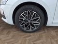 Daumennagel 14 - Skoda Octavia 1,5TSI DSG aAHK/Matrix/ACC/Kamera/el.Klappe   **