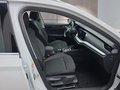 Daumennagel 15 - Skoda Octavia 1,5TSI DSG aAHK/Matrix/ACC/Kamera/el.Klappe   **