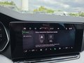 Daumennagel 29 - Skoda Octavia 1,5TSI DSG aAHK/Matrix/ACC/Kamera/el.Klappe   **