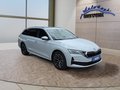 Daumennagel 7 - Skoda Octavia 1,5TSI DSG aAHK/Matrix/ACC/Kamera/el.Klappe   **