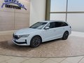 Daumennagel 1 - Skoda Octavia 1,5TSI DSG aAHK/Matrix/ACC/Kamera/el.Klappe   **