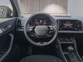 Daumennagel 13 - Skoda Karoq 2,0TDI DSG 4*J.Gar/aAHK/Kamera/Kessy/Winterp.  **