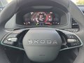 Daumennagel 22 - Skoda Karoq 2,0TDI DSG 4*J.Gar/aAHK/Kamera/Kessy/Winterp.  **
