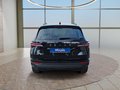 Daumennagel 4 - Skoda Karoq 2,0TDI DSG 4*J.Gar/aAHK/Kamera/Kessy/Winterp.  **