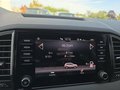 Daumennagel 37 - Skoda Karoq 2,0TDI DSG 4*J.Gar/aAHK/Kamera/Kessy/Winterp.  **