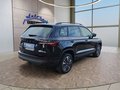 Daumennagel 5 - Skoda Karoq 2,0TDI DSG 4*J.Gar/aAHK/Kamera/Kessy/Winterp.  **