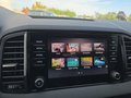 Daumennagel 43 - Skoda Karoq 2,0TDI DSG 4*J.Gar/aAHK/Kamera/Kessy/Winterp.  **