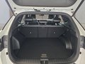 Daumennagel 17 - Hyundai TUCSON 1,6T HEV 4WD N Line UPE=52500 Euro!        **