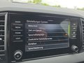 Daumennagel 50 - Skoda Karoq Sportline 1,5TSI DSG 4*J.Gar/aAHK/Matrix/Navi  **