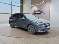 Daumennagel 7 - CUPRA Terramar 1.5 eTSI DSG ACC/Kessy/el.Klappe/Winterp. **