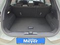 Daumennagel 17 - Ford Puma ST-Line 1,0 125PS Aut.Navi/Kamera/LED/Klimaaut. **