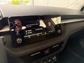 Daumennagel 25 - Skoda Fabia 1,0TSI DSG 2-Z.Klimaaut/Winterp/Temp/LED/Pdc   **