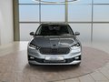 Daumennagel 9 - Skoda Fabia 1,0TSI DSG 2-Z.Klimaaut/Winterp/Temp/LED/Pdc   **
