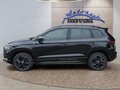 Daumennagel 2 - Skoda Karoq Sportline 1,5TSI DSG aAHK/ACC/Matrix/Navi/el.Klappe   **