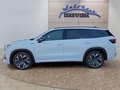 Daumennagel 2 - Skoda Kodiaq Sportline 1,5TSI aAHK/7-Sitzer/Pano/Matrix/Navi  **