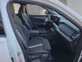 Daumennagel 15 - Skoda Kodiaq Sportline 1,5TSI aAHK/7-Sitzer/Pano/Matrix/Navi  **