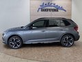 Daumennagel 2 - Skoda Kamiq Monte Carlo 1,5TSI DSG 4*J.Gar/AHK/18*Alu/el.Klappe  **