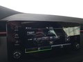 Daumennagel 49 - Skoda Kamiq Monte Carlo 1,5TSI DSG 4*J.Gar/AHK/18*Alu/el.Klappe  **