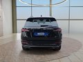Daumennagel 4 - Skoda Karoq Sportline 1,5TSI DSG aAHK/Navi/Matrix/Kessy/Winterp.  **