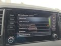 Daumennagel 49 - Skoda Karoq Sportline 1,5TSI DSG aAHK/Navi/Matrix/Kessy/Winterp.  **