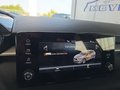Daumennagel 38 - Skoda Fabia 1,0TSI DSG 5*J.Gar/LED/Winterp/Temp.   **