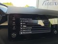 Daumennagel 39 - Skoda Fabia 1,0TSI DSG 5*J.Gar/LED/Winterp/Temp.   **