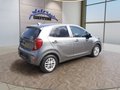 Daumennagel 5 - Kia Picanto 1.2 Dream Team Edition Navi/WP/DAB/8 Fach bereift