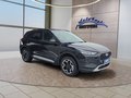 Daumennagel 14 - Ford Kuga Active 2.5 Plug-in-Hybrid 5*J.Gar/Winterp/LED/Navi  **