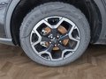 Daumennagel 29 - Ford Kuga Active 2.5 Plug-in-Hybrid 5*J.Gar/Winterp/LED/Navi  **