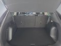 Daumennagel 33 - Ford Kuga Active 2.5 Plug-in-Hybrid 5*J.Gar/Winterp/LED/Navi  **