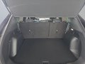 Daumennagel 34 - Ford Kuga Active 2.5 Plug-in-Hybrid 5*J.Gar/Winterp/LED/Navi  **