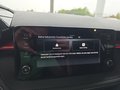 Daumennagel 29 - Skoda Fabia Monte Carlo 1,0TSI DSG 5*J.Gar/LED/Winterp/Temp.    **