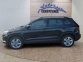 Daumennagel 2 - Skoda Karoq 1,5TSI DSG aAHK/ACC/Kamera/Winterp.       **